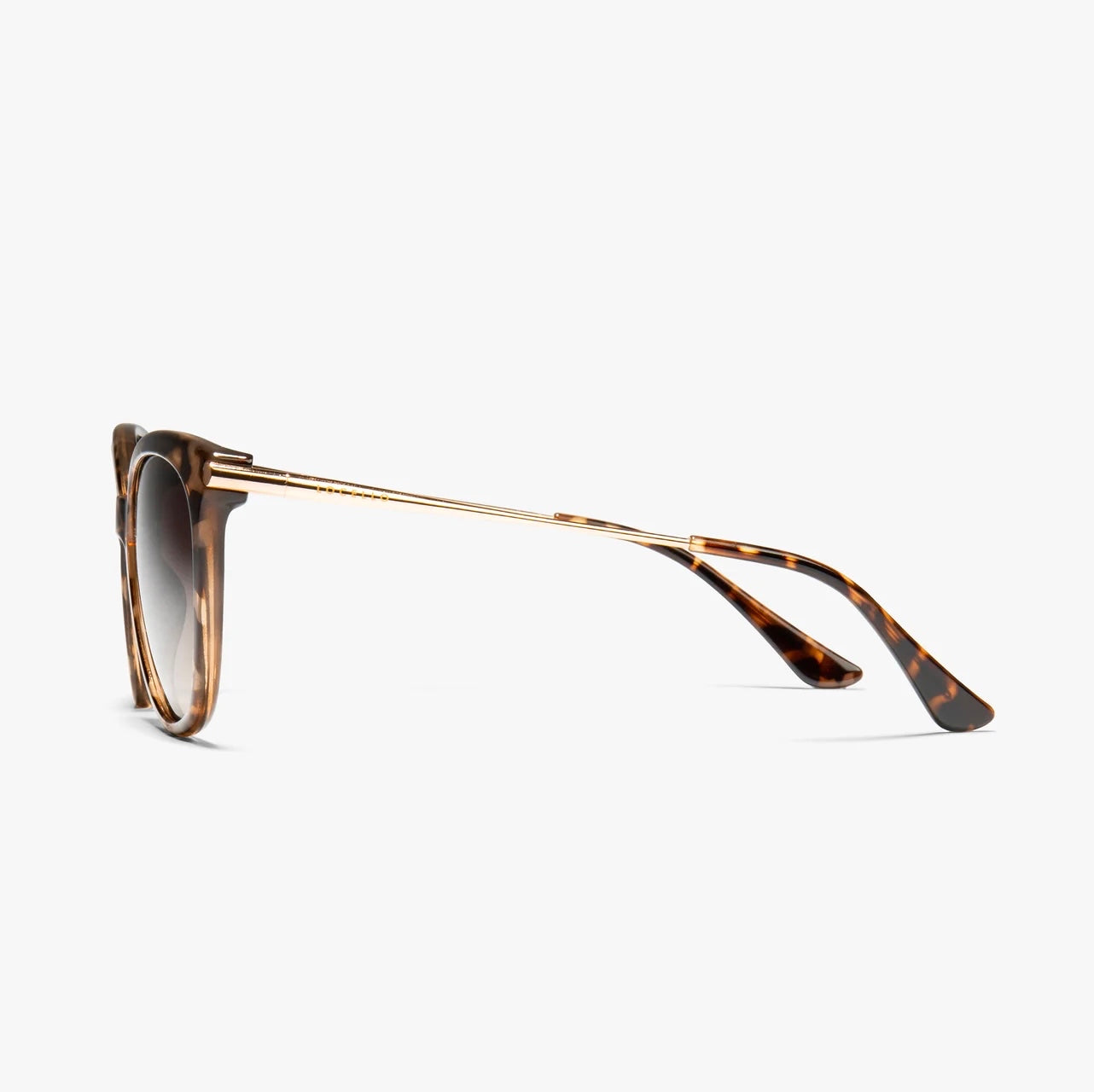 Ashley Tortoiseshell