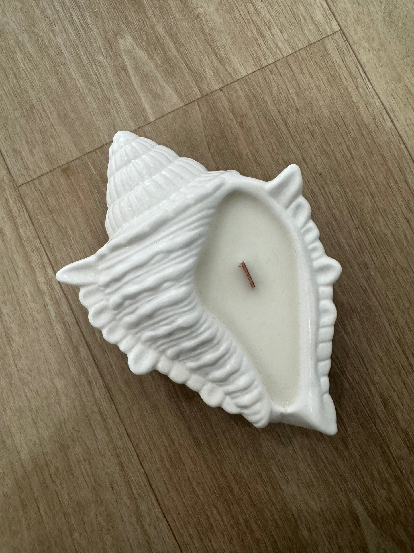 Shell Candle