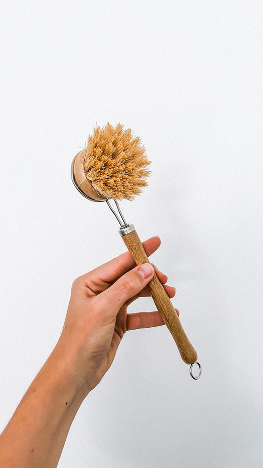 Reusable Dish Brush