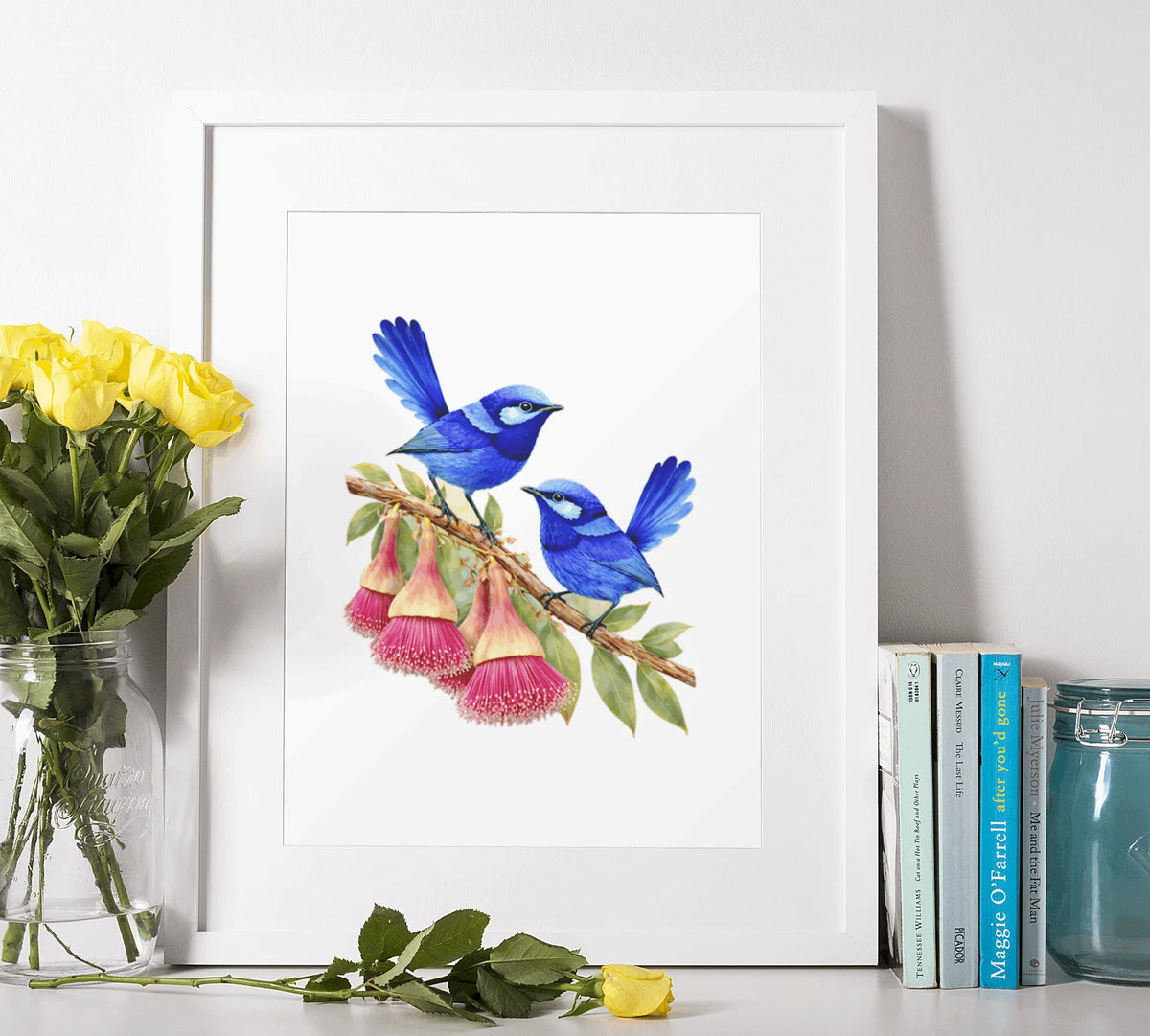 Splendid Fairy wrens