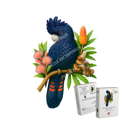 Black Cockatoo Red Tail