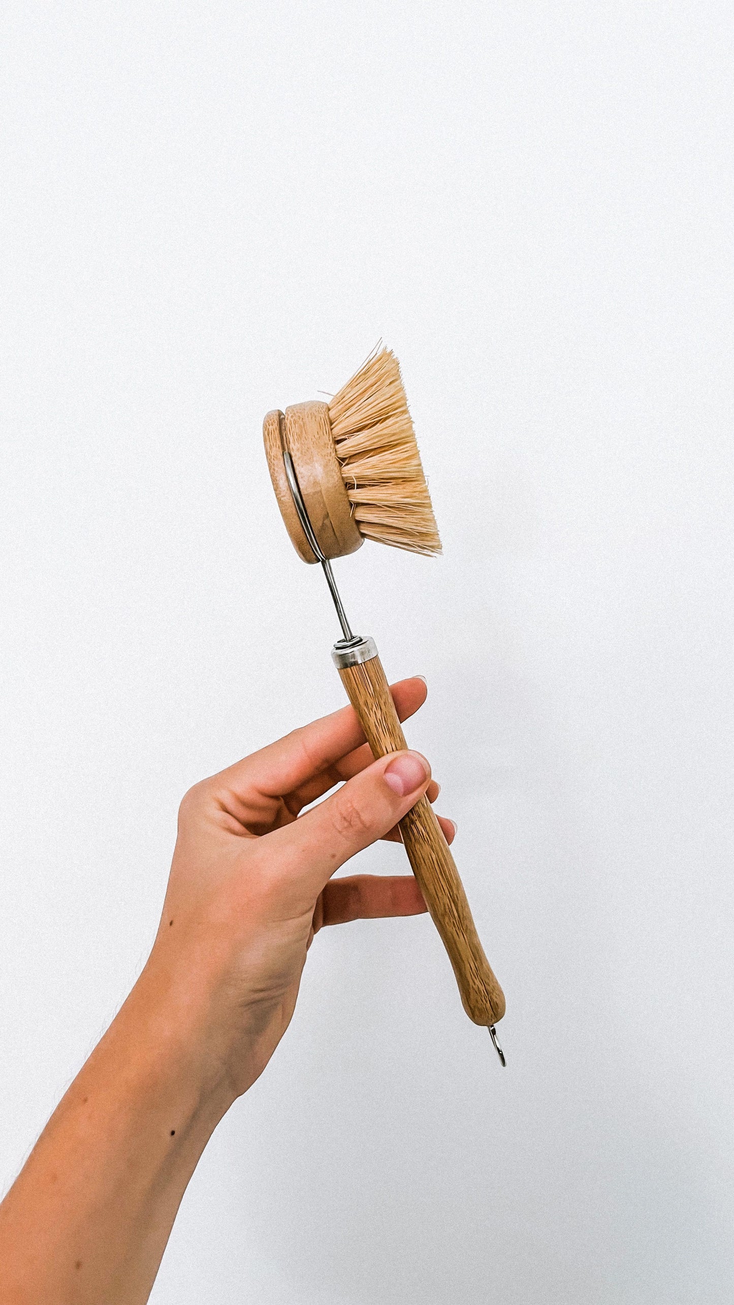 Reusable Dish Brush