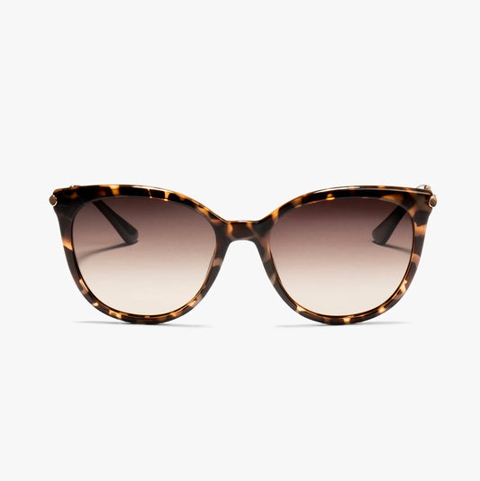 Ashley Tortoiseshell